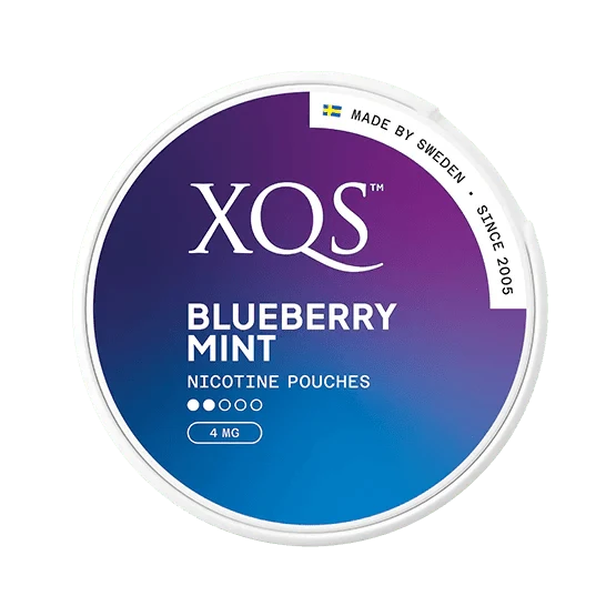 XQS Blueberry Mint 4mg