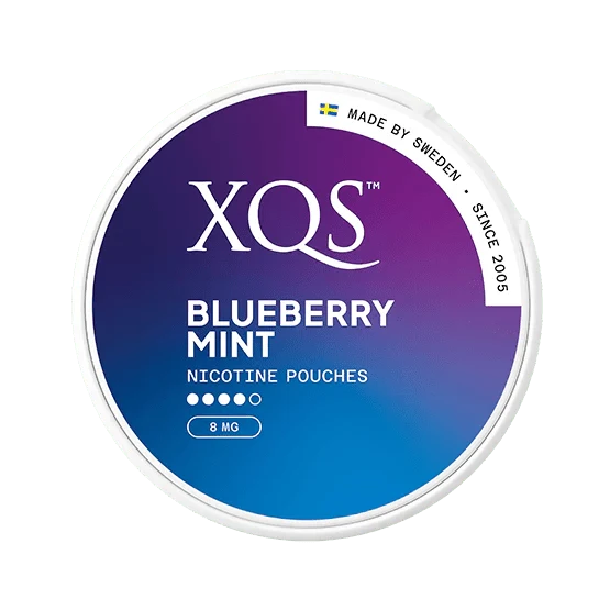XQS Blueberry Mint Strong 8mg
